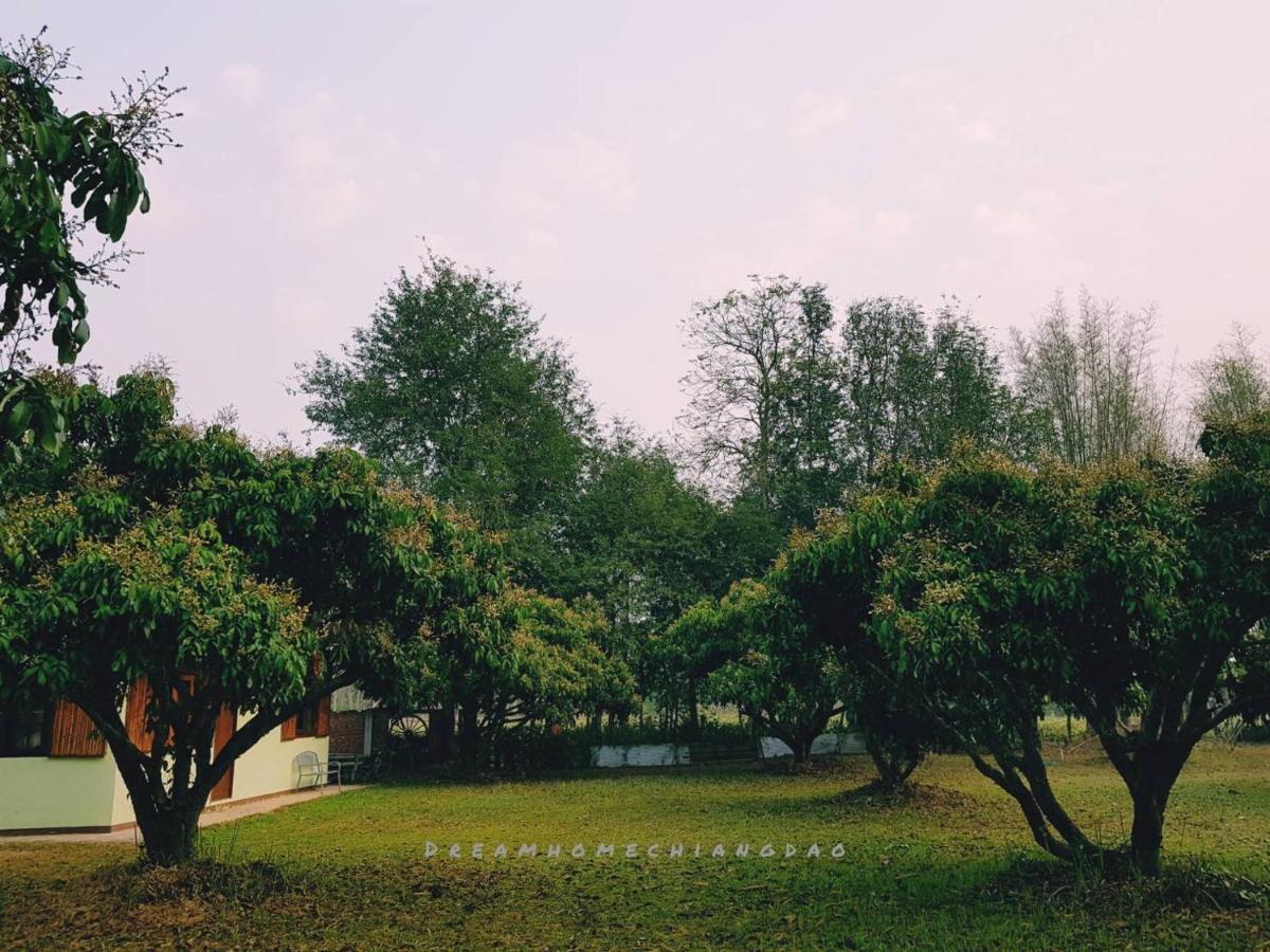 Dreamhome Chiangdao Chiang Dao Zewnętrze zdjęcie
