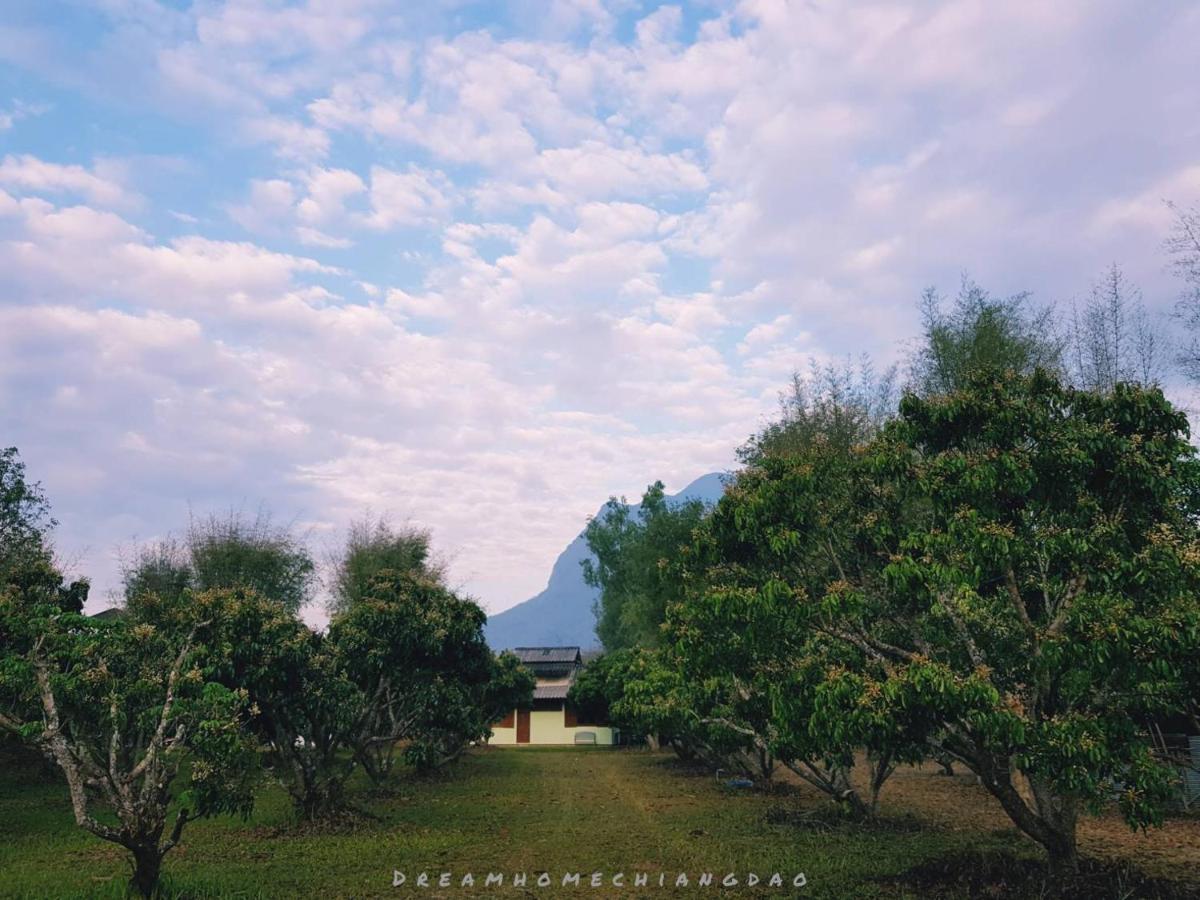 Dreamhome Chiangdao Chiang Dao Zewnętrze zdjęcie