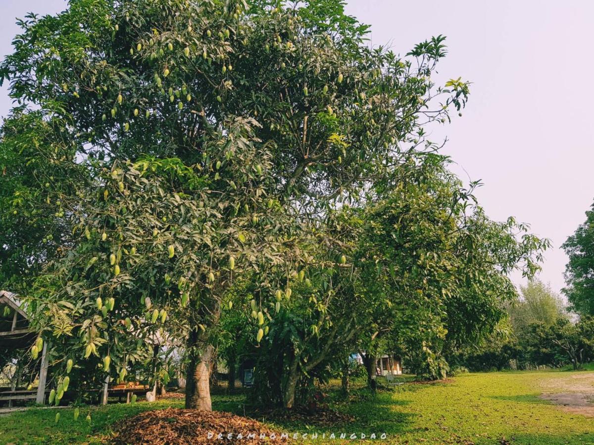 Dreamhome Chiangdao Chiang Dao Zewnętrze zdjęcie