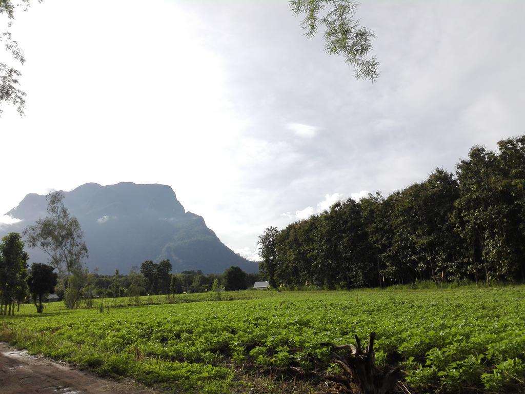 Dreamhome Chiangdao Chiang Dao Zewnętrze zdjęcie
