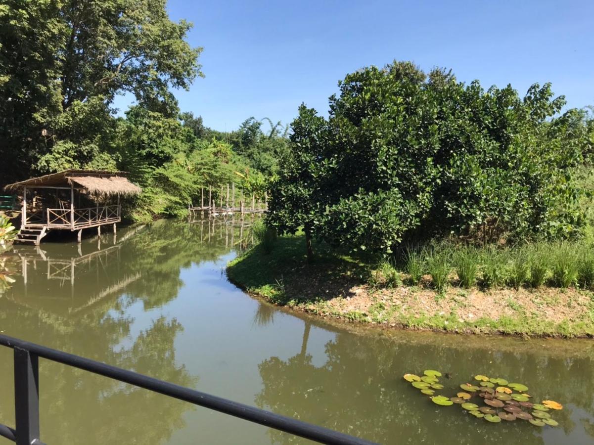 Dreamhome Chiangdao Chiang Dao Zewnętrze zdjęcie